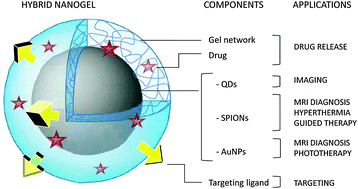 Graphical abstract: Multifunctional hybrid nanogels for theranostic applications