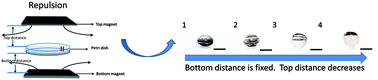 Graphical abstract: Magnetic field assisted programming of particle shapes and patterns