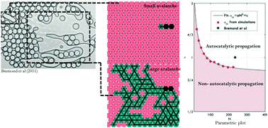 Graphical abstract: Coalescence of drops in a 2D microchannel: critical transitions to autocatalytic behaviour