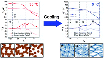 Graphical abstract: Exploration of the nature of a unique natural polymer-based thermosensitive hydrogel