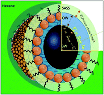 Graphical abstract: Assessment of micro-polarity anisotropy as a function of surfactant packing in sodium dodecyl sulphonate–hexane reverse micelles