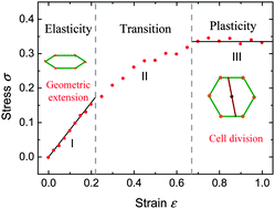 Graphical abstract: How do changes at the cell level affect the mechanical properties of epithelial monolayers?