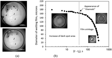 Graphical abstract: Wetting films of aqueous solutions of Silwet L-77 on a hydrophobic surface