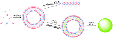 Graphical abstract: Synthesis of crosslinked polymeric nanocapsules using catanionic vesicle templates stabilized by compressed CO2