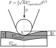 Graphical abstract: Investigation of PDMS based bi-layer elasticity via interpretation of apparent Young's modulus