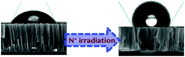 Graphical abstract: Adhesive hydrophobicity of Cu2O nano-columnar arrays induced by nitrogen ion irradiation