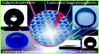 Graphical abstract: Femtosecond laser controlled wettability of solid surfaces