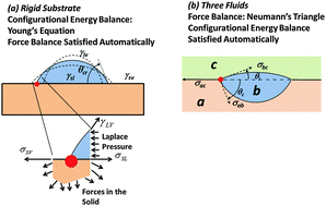 Graphical abstract: Planar equilibrium shapes of a liquid drop on a membrane