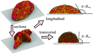 Graphical abstract: Wetting behaviour and contact angles anisotropy of nematic nanodroplets on flat surfaces