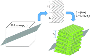 Graphical abstract: Geometric reconstruction of biological orthogonal plywoods