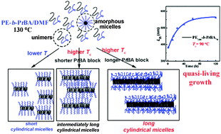 Graphical abstract: Crystallization-driven one-dimensional self-assembly of polyethylene-b-poly(tert-butylacrylate) diblock copolymers in DMF: effects of crystallization temperature and the corona-forming block