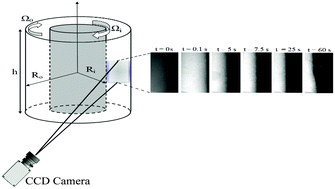 Graphical abstract: A flow visualization and superposition rheology study of shear-banding wormlike micelle solutions