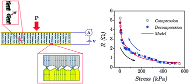 Graphical abstract: Anisotropic reversible piezoresistivity in magnetic–metallic/polymer structured elastomeric composites: modelling and experiments