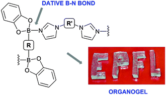 Graphical abstract: Supramolecular gels based on boronate esters and imidazolyl donors