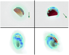 Graphical abstract: Dynamics of a disc in a nematic liquid crystal