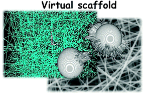 Graphical abstract: Virtual design of electrospun-like gelatin scaffolds: the effect of three-dimensional fibre orientation on elasticity behaviour