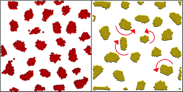 Graphical abstract: Micro-phase separation in two dimensional suspensions of self-propelled spheres and dumbbells