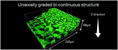 Graphical abstract: Polymer networks with bicontinuous gradient morphologies resulting from the competition between phase separation and photopolymerization