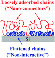 Graphical abstract: Nanoscale adsorbed structures as a robust approach for tailoring polymer film stability