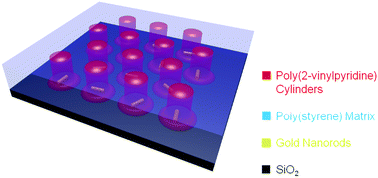 Graphical abstract: Dispersion and alignment of nanorods in cylindrical block copolymer thin films