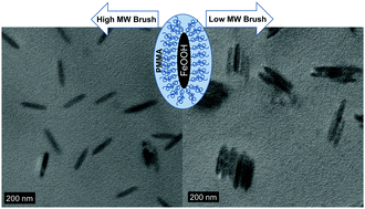 Graphical abstract: Dispersion of PMMA-grafted, mesoscopic iron-oxide rods in polymer films