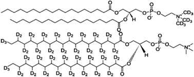 Graphical abstract: Interaction of partially denatured insulin with a DSPC floating lipid bilayer