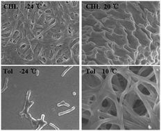 Graphical abstract: Gelation behaviour of a bent-core dihydrazide derivative: effect of incubation temperature in chloroform and toluene