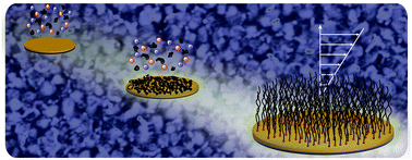 Graphical abstract: Boundary flow on end-grafted PEG brushes