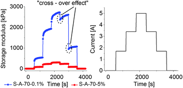 Graphical abstract: Transient magnetorheological response of magnetoactive elastomers to step and pyramid excitations