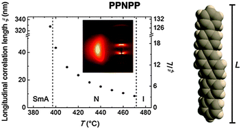 Graphical abstract: Molecular ordering in the high-temperature nematic phase of an all-aromatic liquid crystal