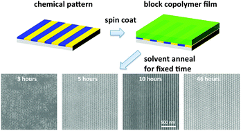 Graphical abstract: Directed self-assembly of solvent-vapor-induced non-bulk block copolymer morphologies on nanopatterned substrates
