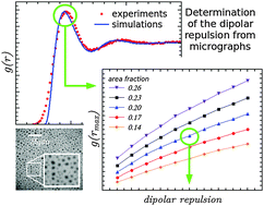 Graphical abstract: Dipolar interactions between domains in lipid monolayers at the air–water interface