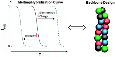 Graphical abstract: Effect of backbone chemistry on hybridization thermodynamics of oligonucleic acids: a coarse-grained molecular dynamics simulation study