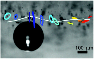 Graphical abstract: Surface waves on a soft viscoelastic layer produced by an oscillating microbubble