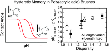 Graphical abstract: Hysteretic memory in pH-response of water contact angle on poly(acrylic acid) brushes