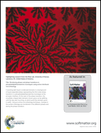 Graphical abstract: Back cover