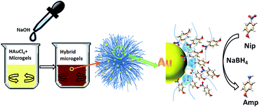 Graphical abstract: Cyclodextrin modified microgels as “nanoreactor” for the generation of Au nanoparticles with enhanced catalytic activity