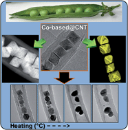 Graphical abstract: Microscopy investigations of the microstructural change and thermal response of cobalt-based nanoparticles confined inside a carbon nanotube medium