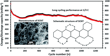 Graphical abstract: Long-life, high-efficiency lithium/sulfur batteries from sulfurized carbon nanotube cathodes