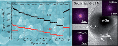 Graphical abstract: Sodiation vs. lithiation phase transformations in a high rate – high stability SnO2 in carbon nanocomposite