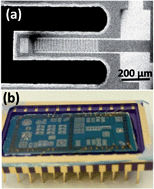 Graphical abstract: The effect of poling conditions on the performance of piezoelectric energy harvesters fabricated by wet chemistry