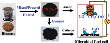 Graphical abstract: Conversion of sewage sludge into high-performance bifunctional electrode materials for microbial energy harvesting