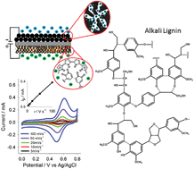 Graphical abstract: High charge-capacity polymer electrodes comprising alkali lignin from the Kraft process