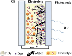 Graphical abstract: Porous activated graphene nanoplatelets incorporated in TiO2 photoanodes for high-efficiency dye-sensitized solar cells