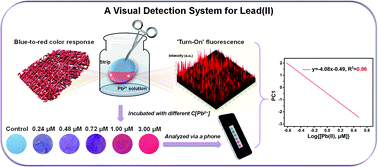 Graphical abstract: Constitution of a visual detection system for lead(ii) on polydiacetylene–glycine embedded nanofibrous membranes