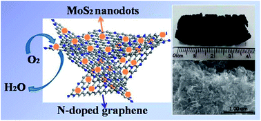 Graphical abstract: Confining MoS2 nanodots in 3D porous nitrogen-doped graphene with amendable ORR performance