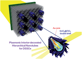 Graphical abstract: Plasmonic, interior-decorated, one-dimensional hierarchical nanotubes for high-efficiency, solid-state, dye-sensitized solar cells