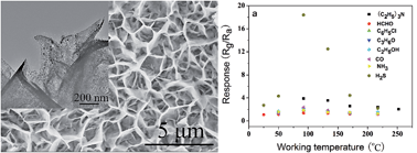 Graphical abstract: Highly sensitive H2S detection sensors at low temperature based on hierarchically structured NiO porous nanowall arrays