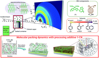 Graphical abstract: In situ studies of the molecular packing dynamics of bulk-heterojunction solar cells induced by the processing additive 1-chloronaphthalene