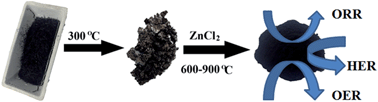 Graphical abstract: Nitrogen and sulfur co-doped porous carbon derived from human hair as highly efficient metal-free electrocatalysts for hydrogen evolution reactions